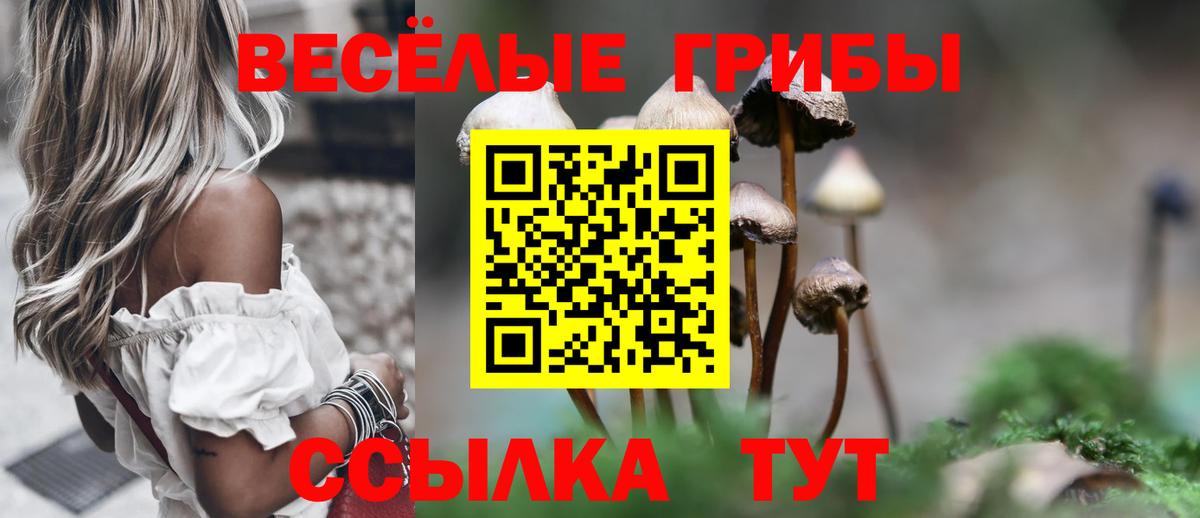 Псилоцибиновые грибы Cubensis  Псилоцибиновые грибы ЛСД  Великий Устюг 