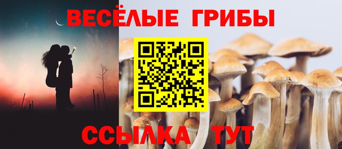 Псилоцибиновые грибы Cubensis  Вход с VPN  Великий Устюг 