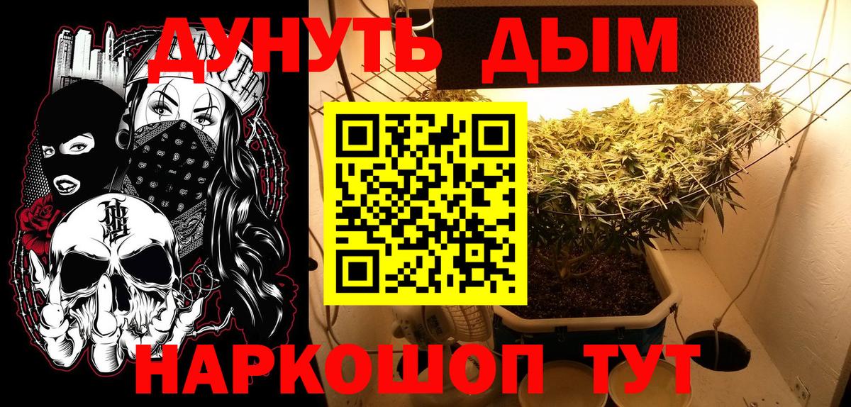 Марихуана сатива Великий Устюг